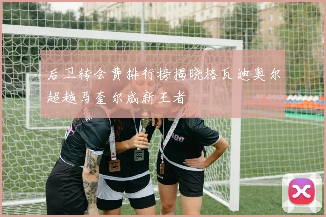 后卫转会费排行榜揭晓格瓦迪奥尔超越马奎尔成新王者