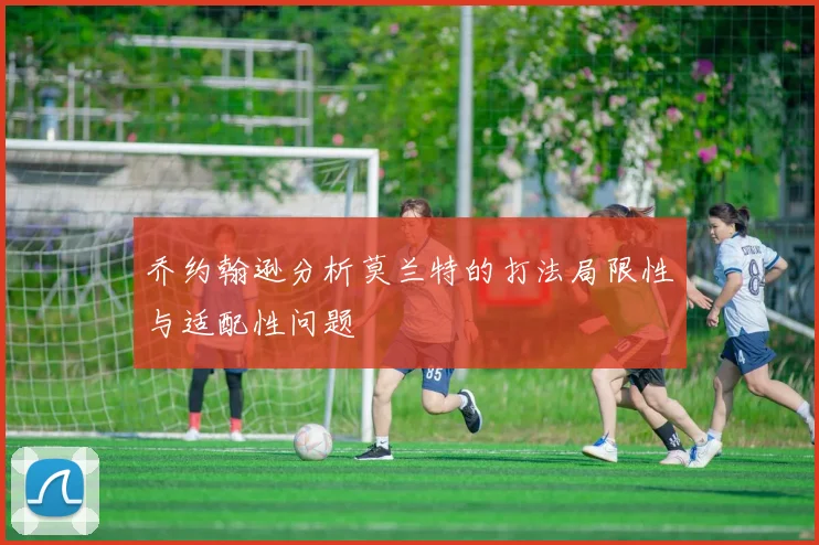 乔约翰逊分析莫兰特的打法局限性与适配性问题